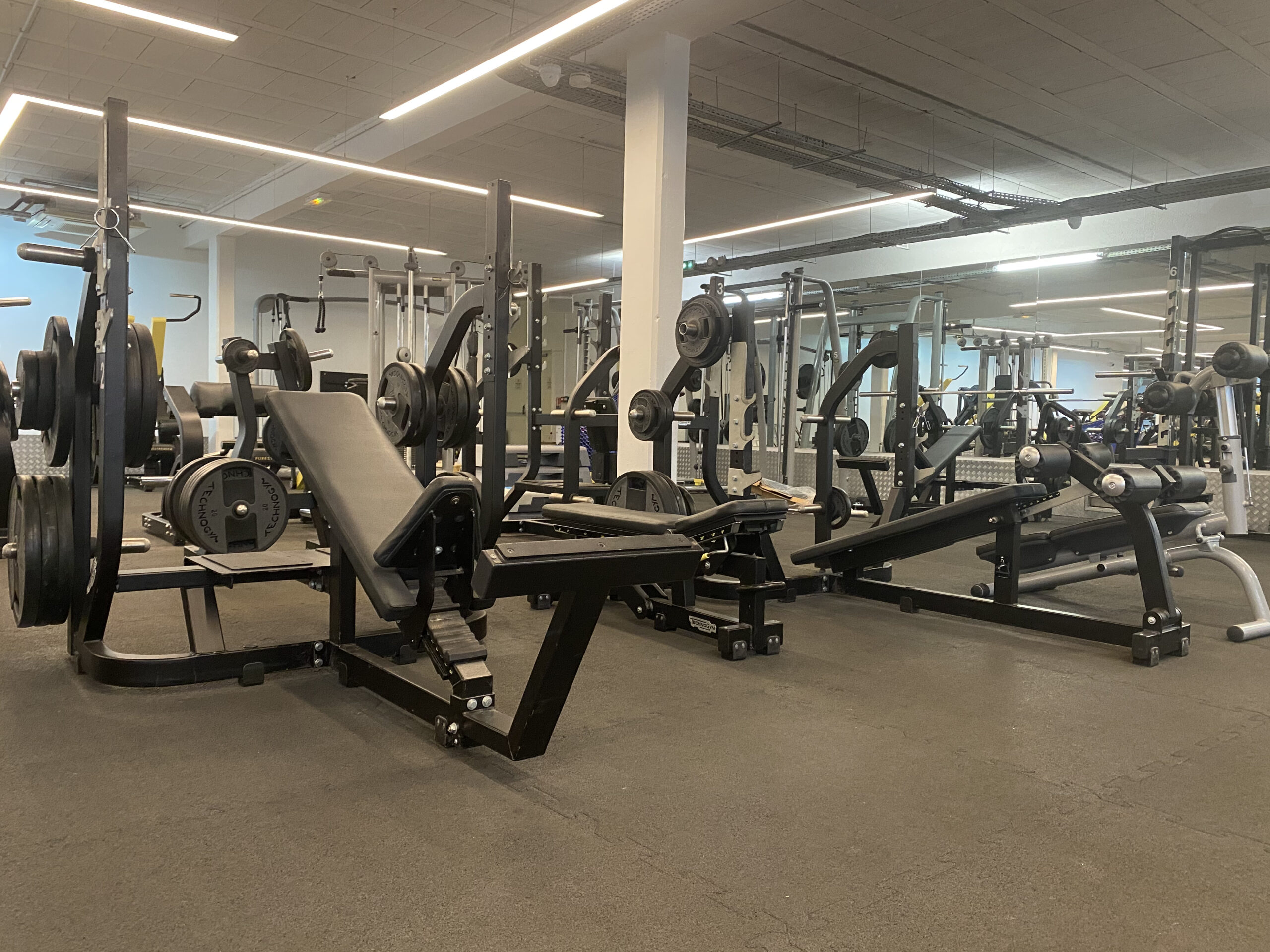 espace musculation bancs square gym