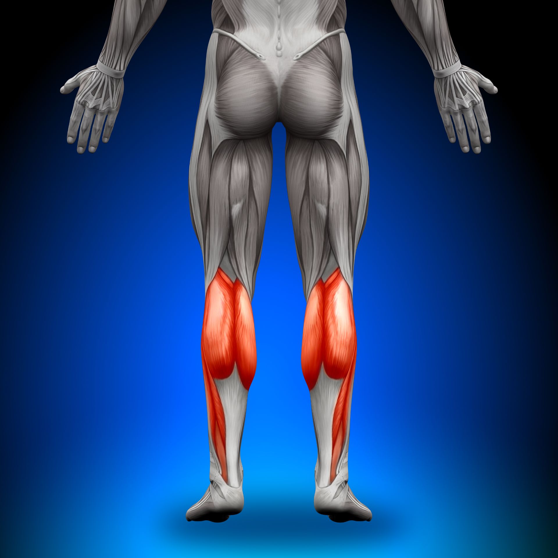 exercices pour muscler les mollets