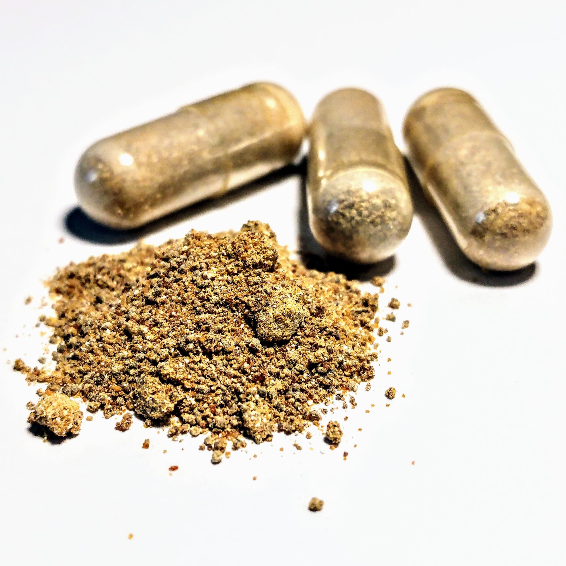 ashwagandha musculation