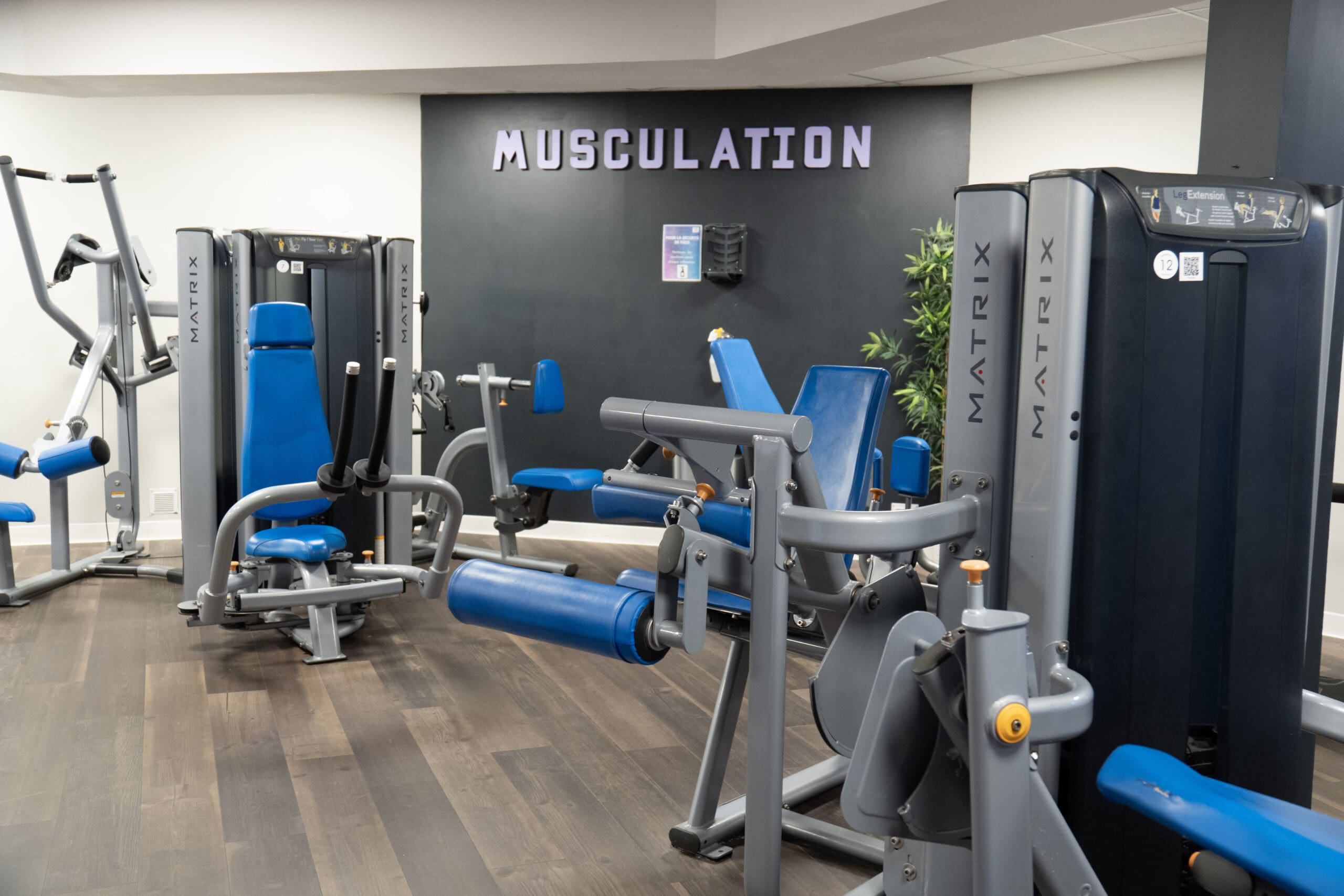 bonnes résolutions sport