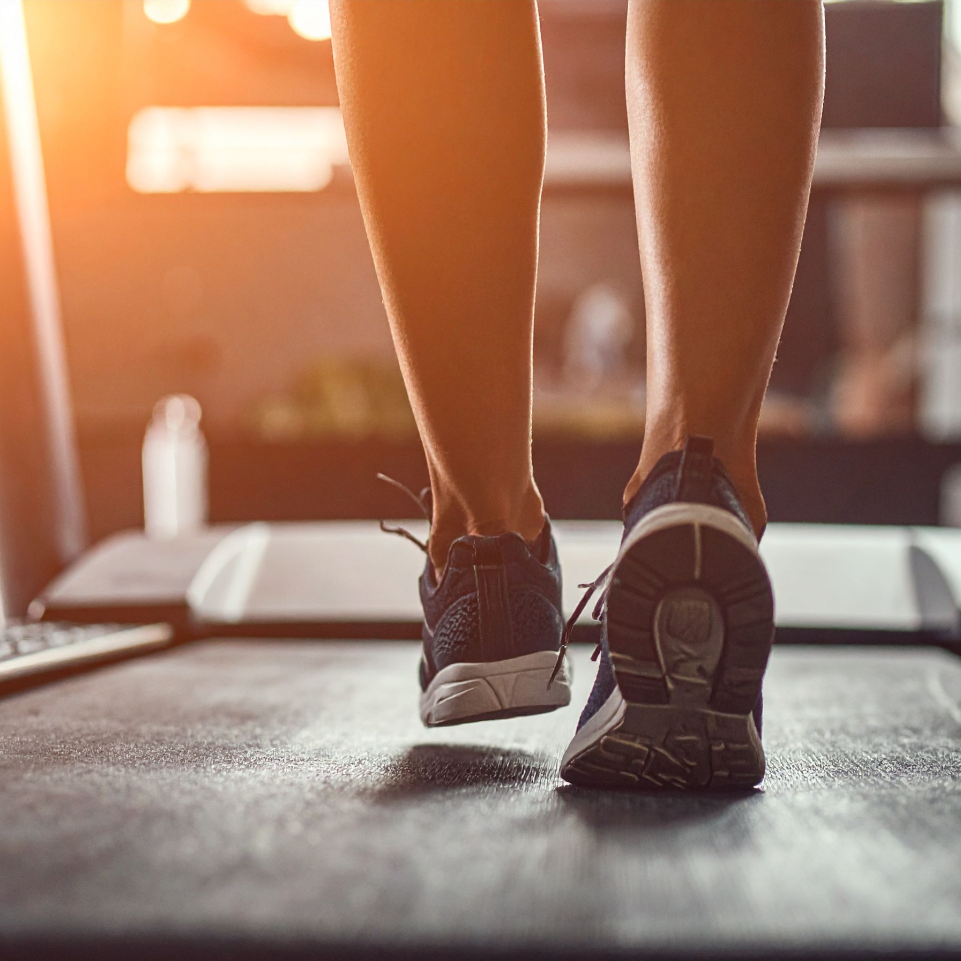 zone 2 cardio
